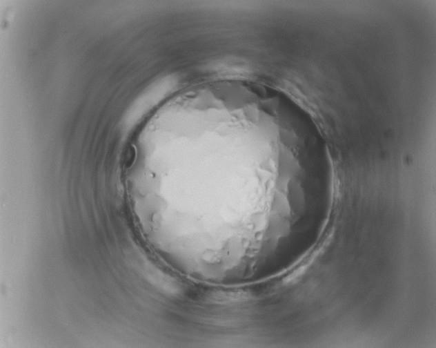 X0000060780245200511241826