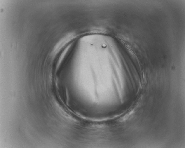 X0000060780247200511241826