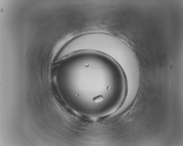 X0000060780248200511241826