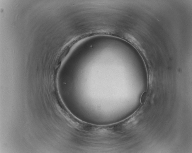 X0000060780249200511241826