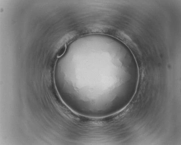 X0000060780250200511241826