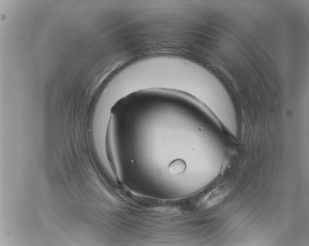 X0000060780251200511241826