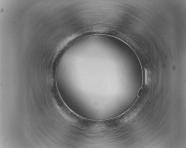 X0000060780252200511241827