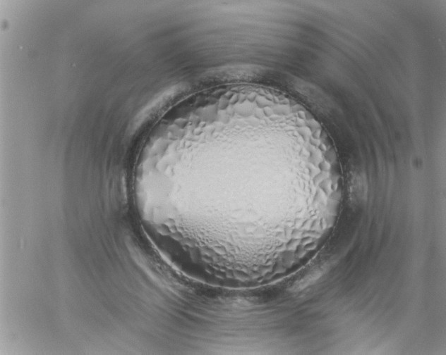 X0000060780254200511241827