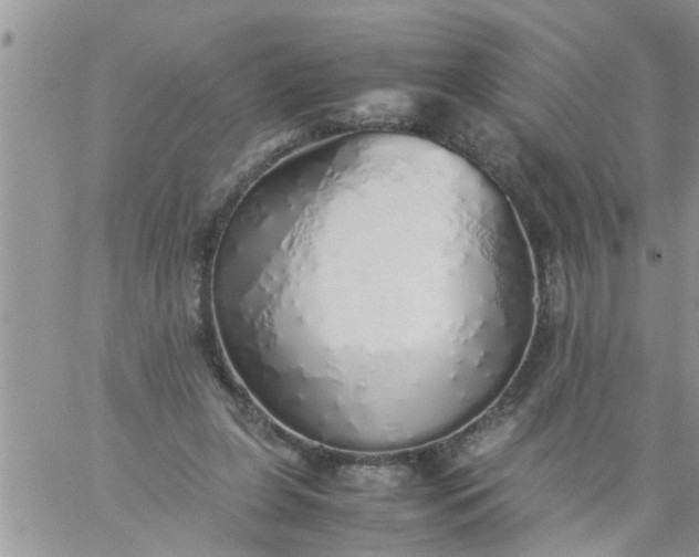 X0000060780255200511241827