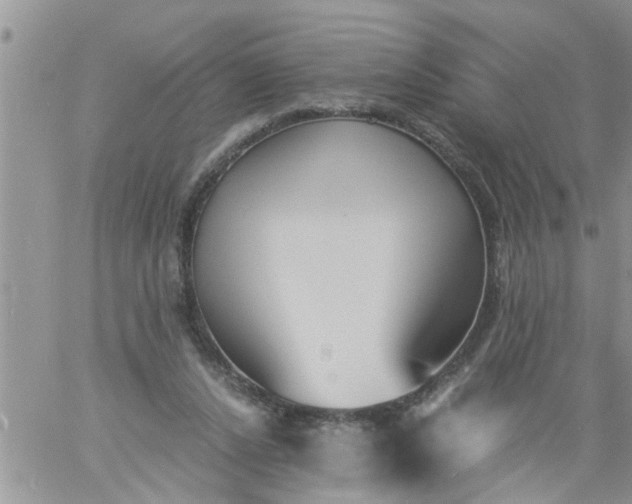 X0000060780256200511241827