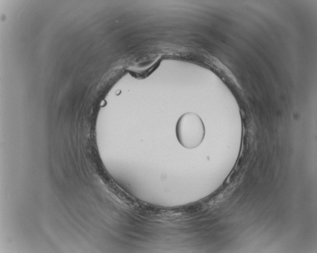 X0000060780257200511241827