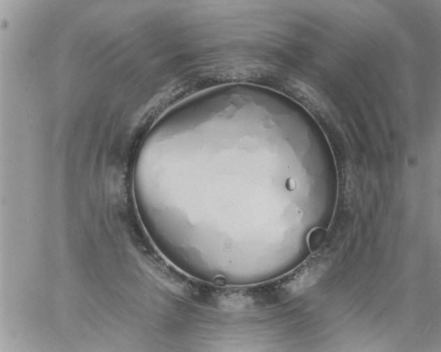 X0000060780258200511241827