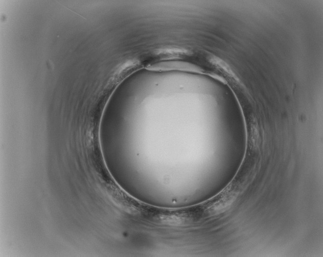 X0000060780259200511241827