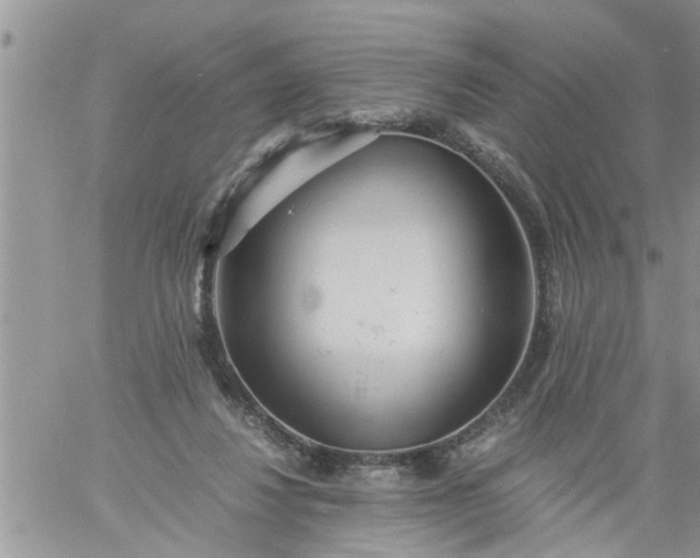 X0000060780260200511241827