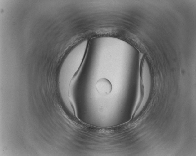 X0000060780261200511241827