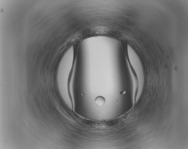 X0000060780262200511241827