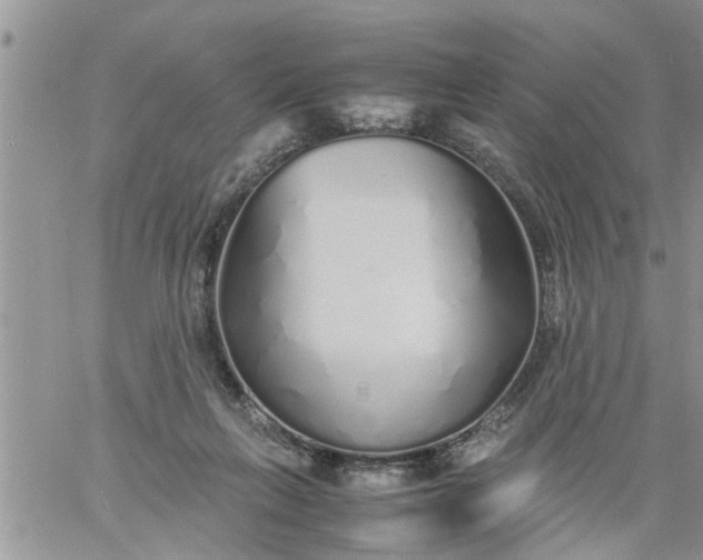 X0000060780263200511241827