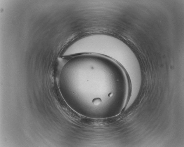 X0000060780264200511241827