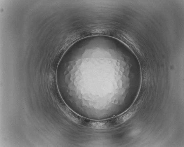 X0000060780265200511241827