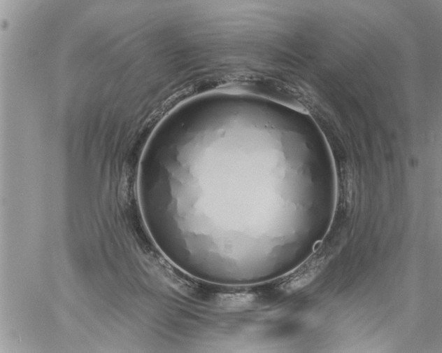 X0000060780266200511241827