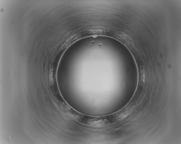 X0000060780267200511241827