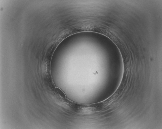 X0000060780268200511241827