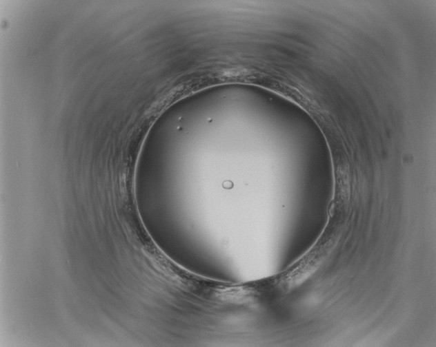 X0000060780269200511241827