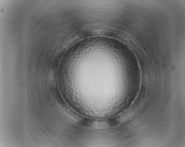 X0000060780270200511241827