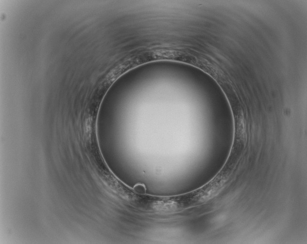 X0000060780271200511241827