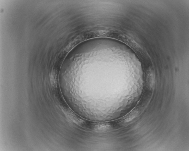 X0000060780274200511241827