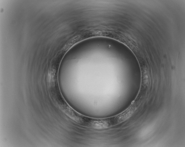 X0000060780275200511241827