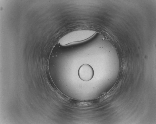 X0000060780277200511241827