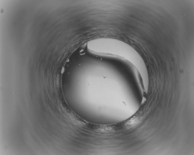 X0000060780278200511241827