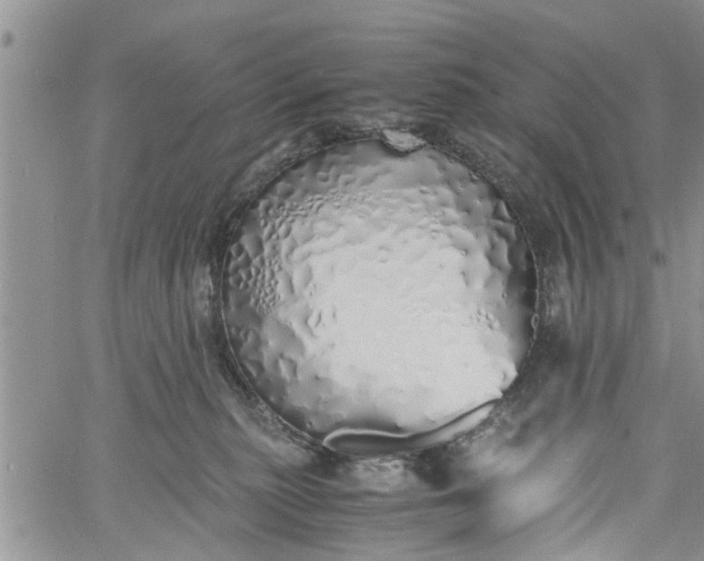 X0000060780279200511241827