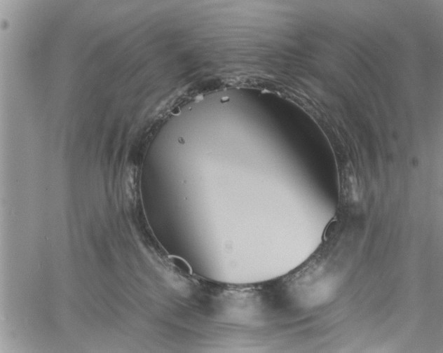 X0000060780280200511241827