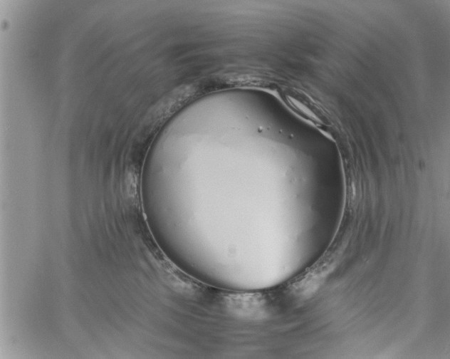 X0000060780281200511241827