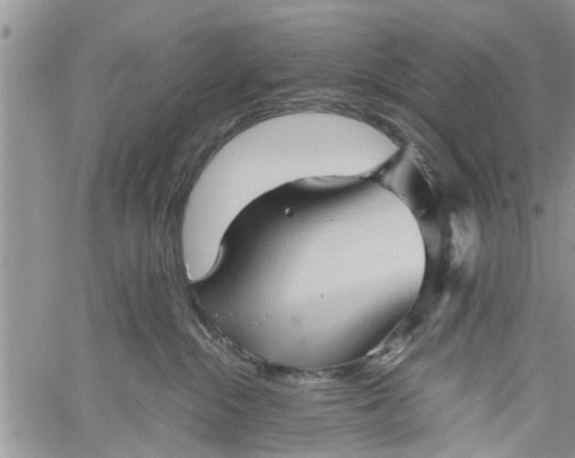 X0000060780284200511241827