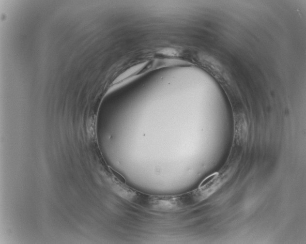 X0000060780285200511241827