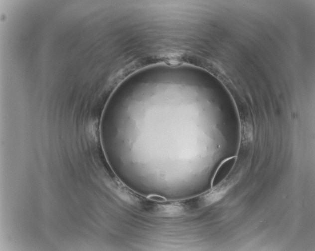 X0000060780286200511241827