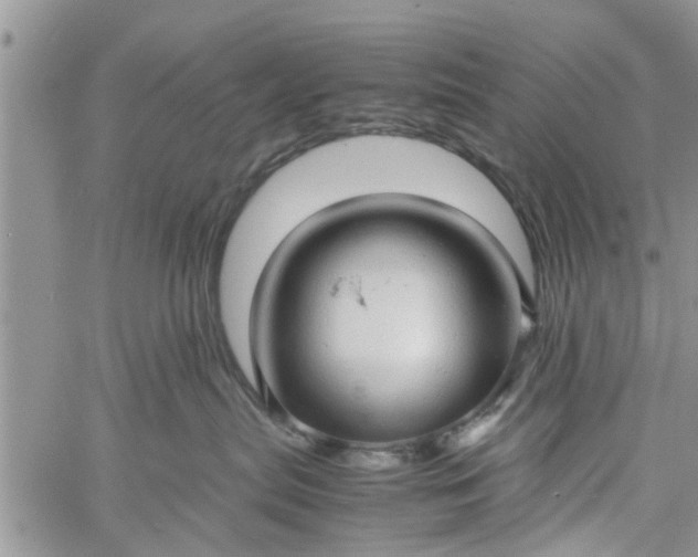 X0000060780287200511241827