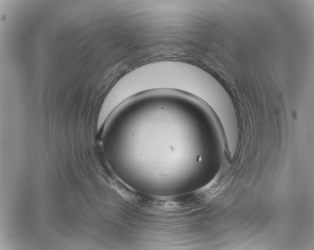 X0000060780288200511241827