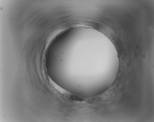 X0000060780289200511241826