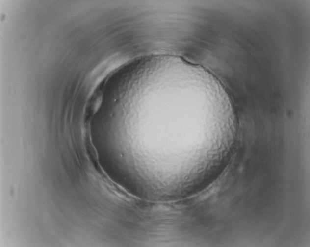 X0000060780290200511241826