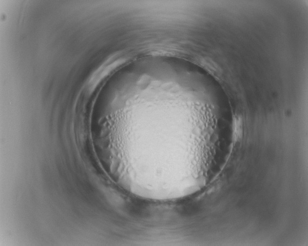 X0000060780291200511241826