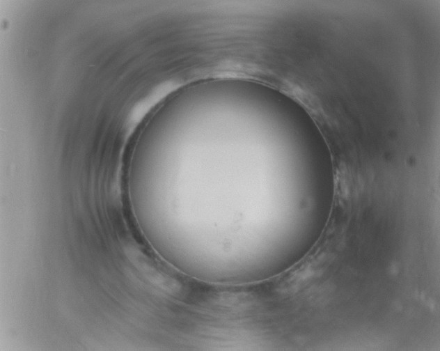 X0000060780292200511241826