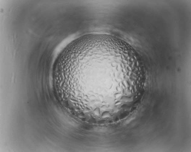 X0000060780294200511241826