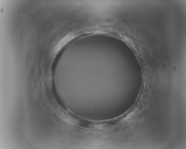 X0000060780295200511241826