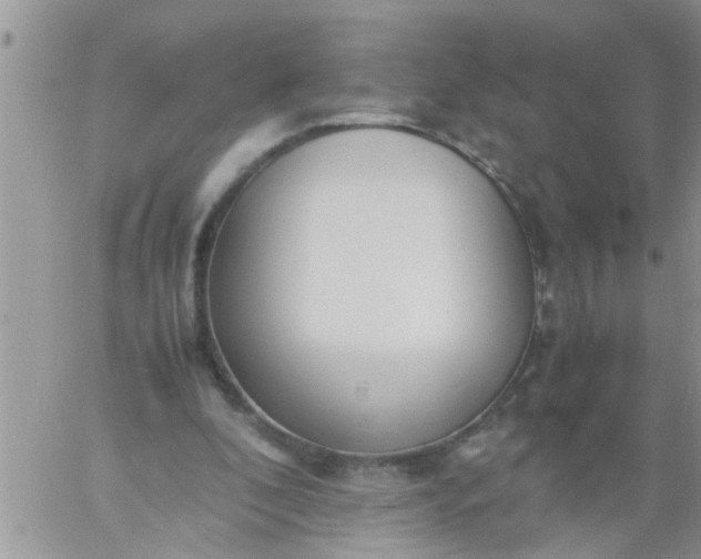 X0000060780296200511241826