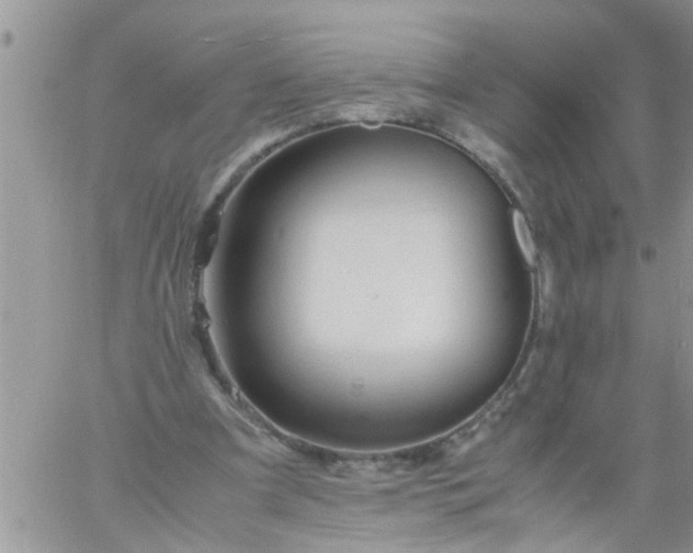 X0000060780297200511241826