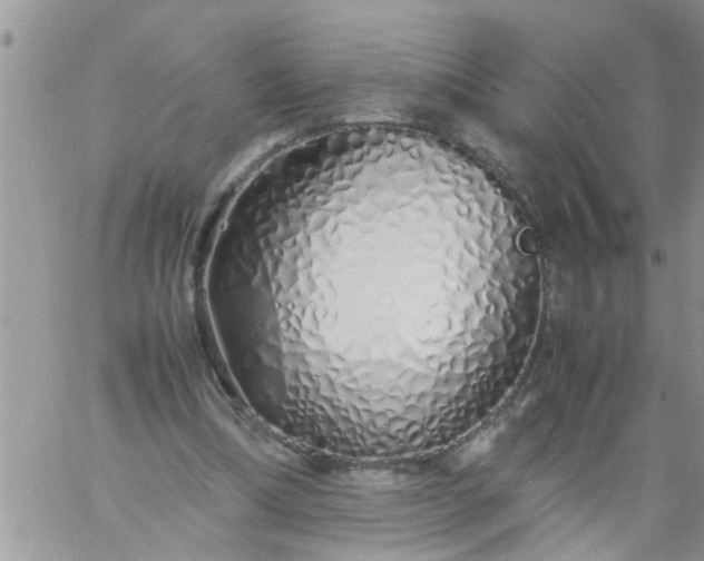 X0000060780298200511241826