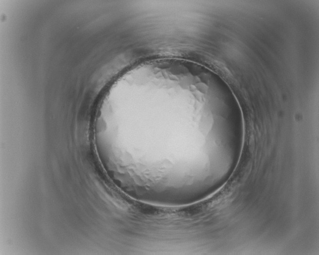 X0000060780299200511241826