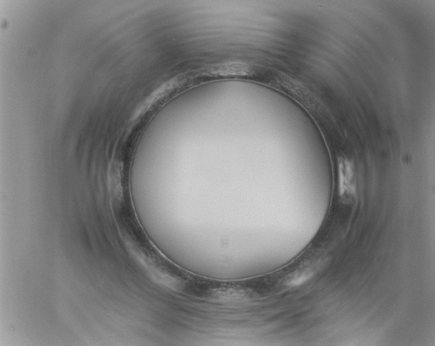 X0000060780300200511241826