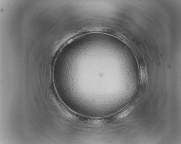 X0000060780301200511241826