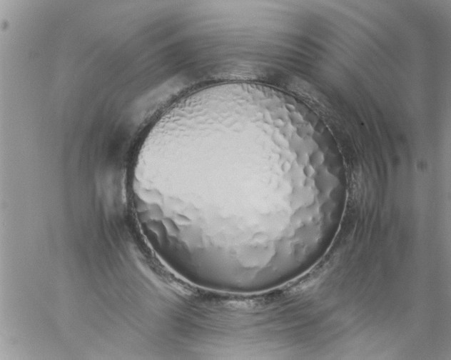 X0000060780302200511241826